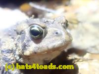 /home//u458753944/public_html/sourcegallery//McKaig Nature Center/2024-09-27/P9271556.JPG